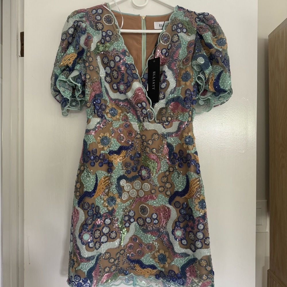 NYT Elliatt Dreamland Dress with Puff Sleeves